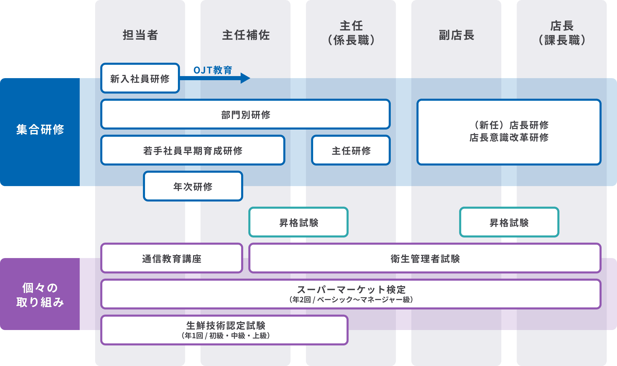 様々な研修制度